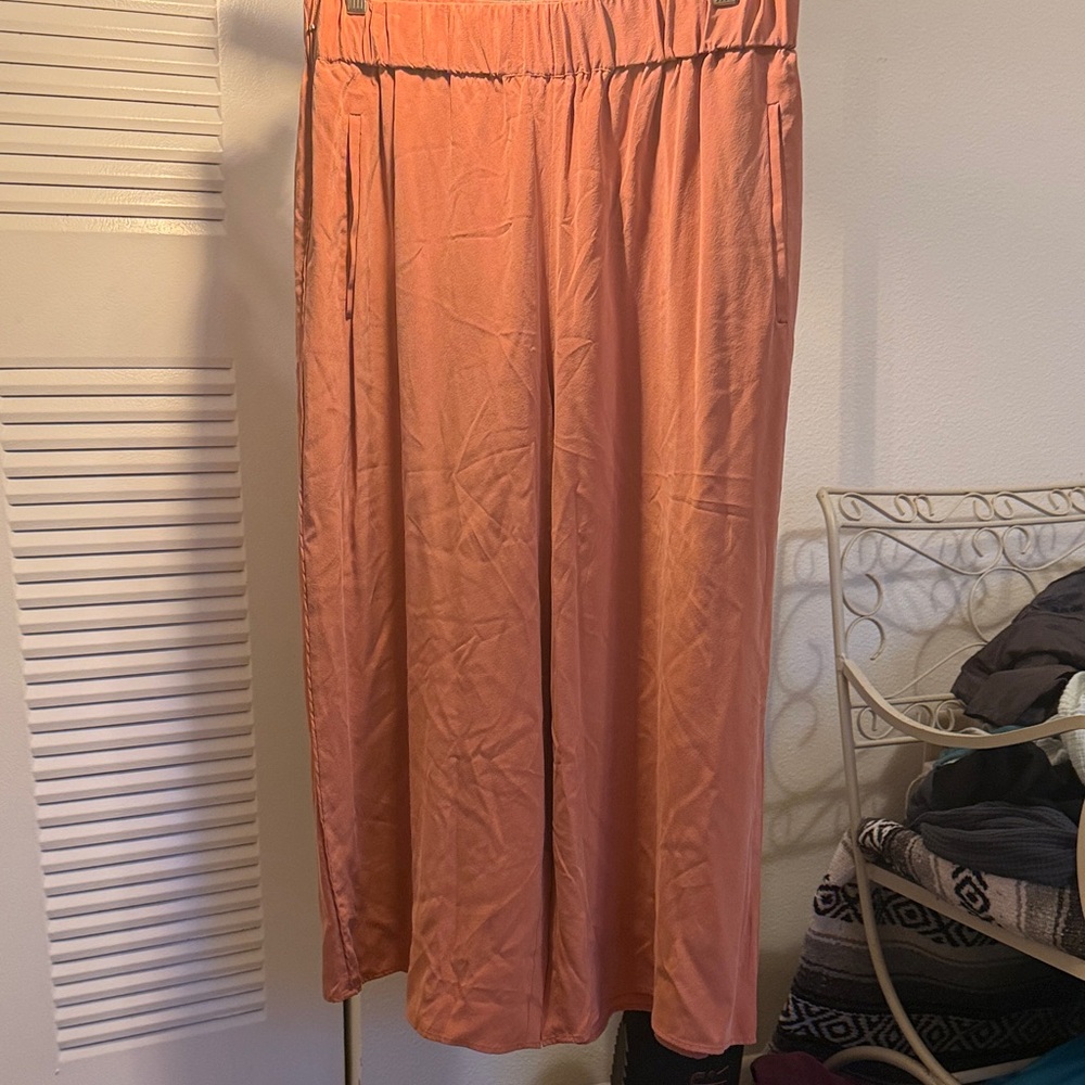 Cuyana Silk Pants